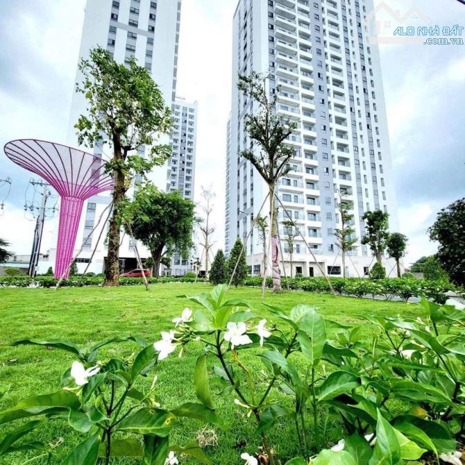 Bán gấp căn hộ chung cư Hoà Bình - IRIS TOWER, TP. Thuận An, Bình Dương - TP. HCM - 10
