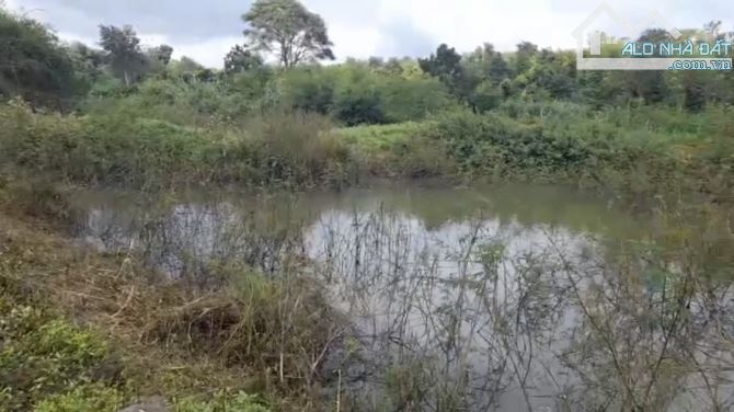 Bán lô đất đường xe hơi Quốc Lộ 14, xã Bình Thuận, TX Buôn Hồ, Đắk Lắk - 11