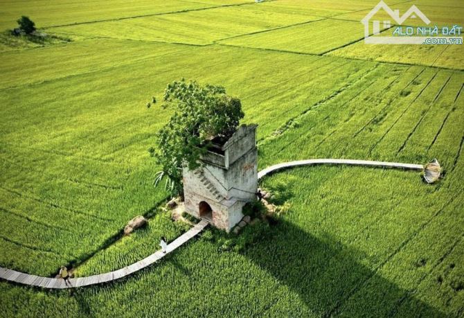 Đất đẹp sạch sẽ - 450m2 ngang 15m - Sát sông mát mẻ - Đã tách 3 lô - 7xx - 1