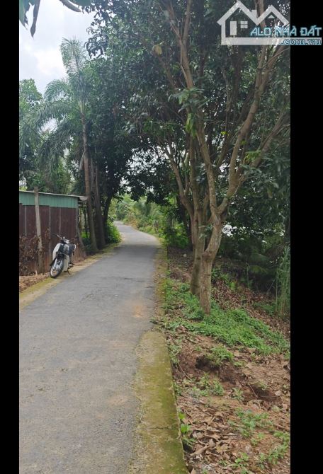 Bán đất khóm thanh tiến , Phường Mỹ trà, Tĩnh Đồng Tháp - 1