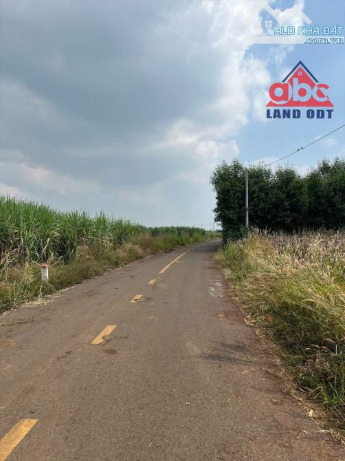 Bán 3 sào Đất Hưng Thịnh Trảng Bom Gần Đường 20 , Giáo Xứ Mân Coi 500M - 1