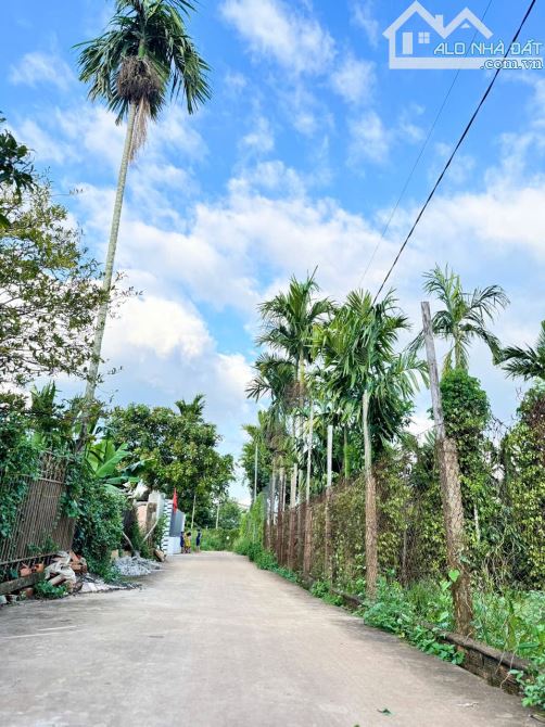 BÁN ĐẤT HẺM ĐƯỜNG THẾ LỮ – TÂN HÒA – VỊ TRÍ TIỀM NĂNG - 1
