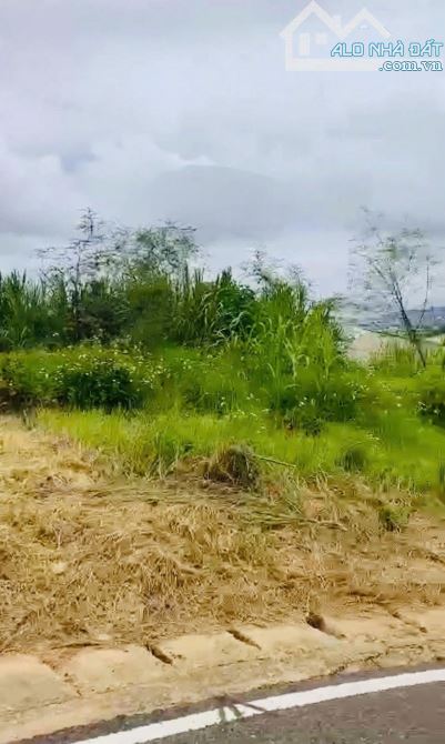 191m2 Đất View KQH Gần Bệnh Viên Nhi Đà Lạt 7,7 Tỷ - 1