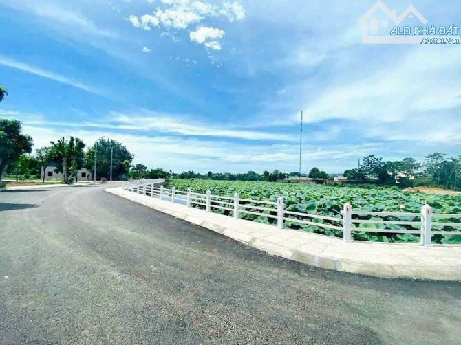 100m hồ sen lotus giá rẻ hơn thị trường 10 giá, sát ql21, cnc và đại học quốc gia - 1