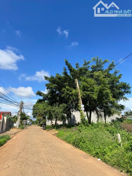 10x45m - SỔ HỒNG THỔ CƯ ĐƯỜNG TRỊNH TỐ TÂM - P.TÂN LỢI ( cũ). XÂY BIỆT THỰ/ CĂN HỘ CHO THÊ - 1
