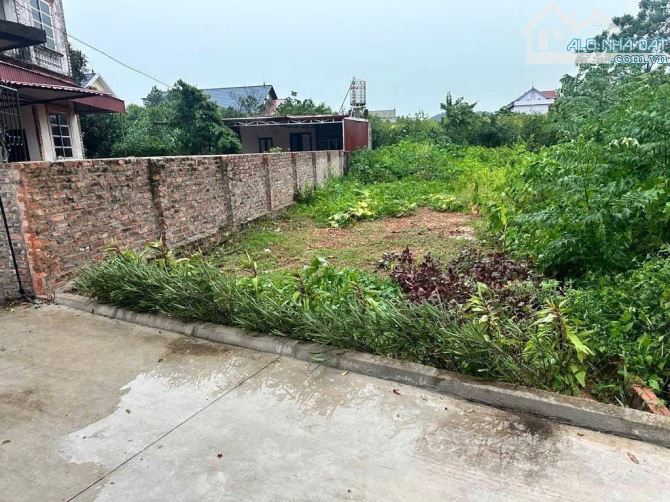 💥ĐẤT ĐẸP PHÚ HẠ MINH PHÚ SÓC SƠN PHÂN LÔ OTO NGỦ TẠI ĐẤT CHỈ 19tr/1m2 - 1
