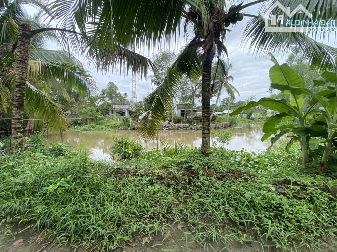 Đất đẹp 1600m2 ( 20 x 79 ) gần KDL Ông Đề thuộc An Bình - TPCT - 1