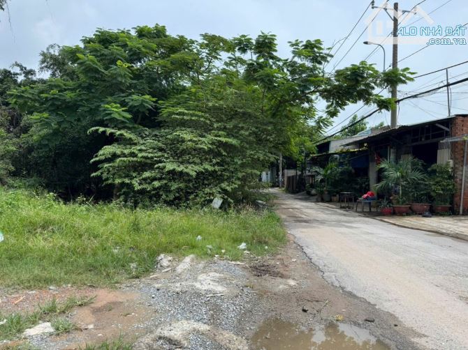 Bán đất mặt tiền đường 6D, Vĩnh Lộc B, Bình Chánh - 1