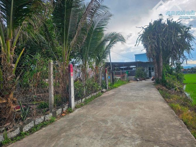 CHỈ CÒN ĐÚNG 1 LÔ DUY NHẤT GIÁ CỰC KÌ RẺ 📌SAU SÁT NHẬP - DIÊN LẠC - DIÊN KHÁNH - 1