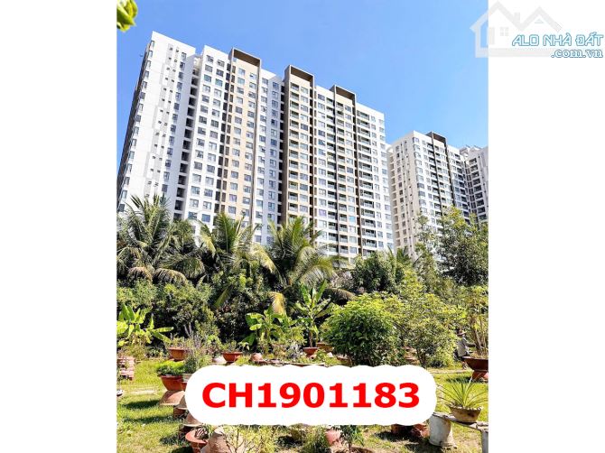 Đất MT Khu Võ Văn Kiệt - 24 x 80M - 59 Tỷ - Quận Bình Tân - 1