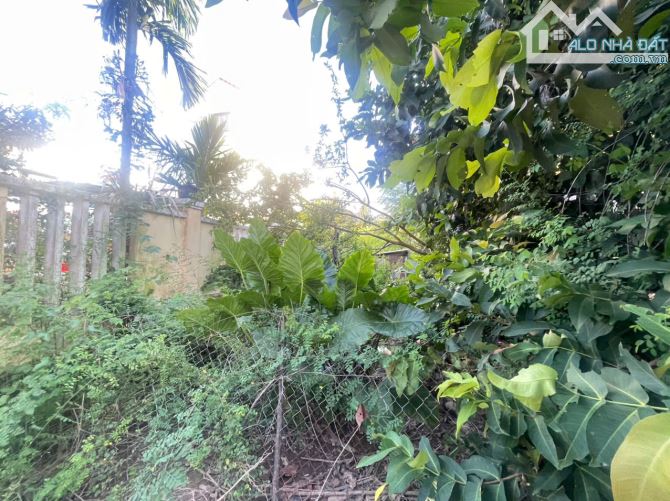 ĐẤT VIEW SÔNG THANH NHÌ, HỘI AN – 124.6M² – 3.8 TỶ - 1