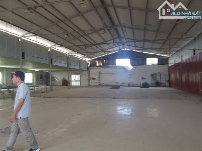 CHÍNH CHỦ CẦN CHUYỂN NHƯỢNG CÔNG TY NÔNG SẢN ĐANG HOẠT ĐỘNG TẠI YÊN BÁI - 1