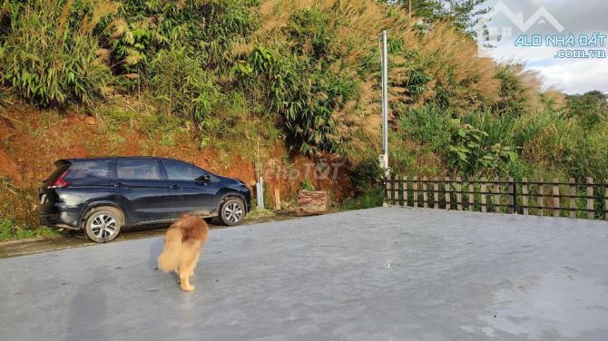 🌿🌊 Đất 503m² có nhà 4 tầng, suối chảy qua – nghỉ dưỡng, homestay lý tưởng tại Đà Lạt - 1
