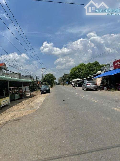 Bán gấp đất TP. Hồ Chí Minh 2440 m2 đất thổ vườn gần đường nhựa DH507 - 1