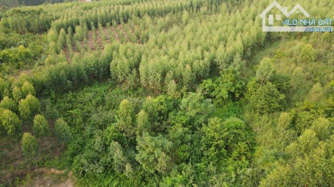 Chính chủ bán đất Cẩm Lý, Bắc Giang 2050m, mt 22m, giá 1.1tỷ - 1