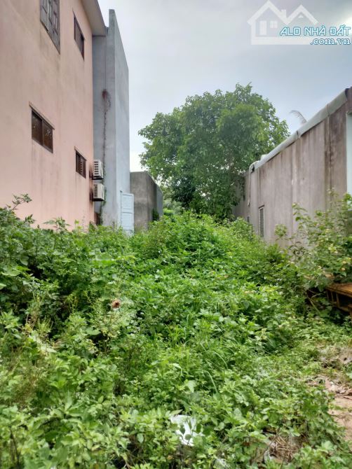 ⭐️⭐️⭐️BÁN ĐẤT  107M2 K/24 ĐẶNG THÁI THÂN, HOÀ HẢI, NGŨ HÀNH SƠN - 1