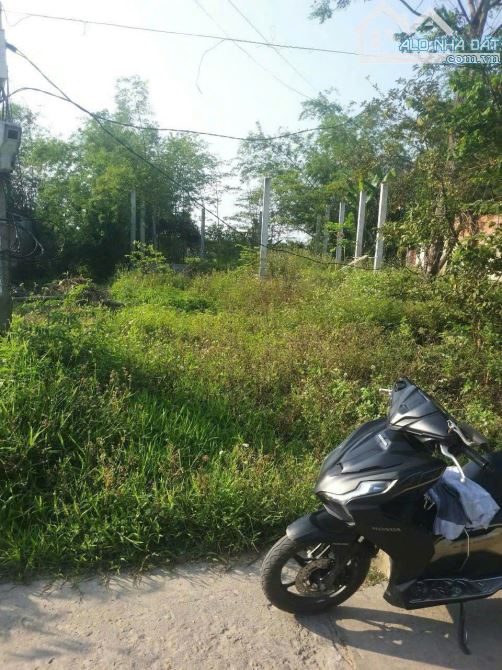 100m2 ĐẤT ĐẸP GẦN TRƯỜNG HỌC trung tâm Phú Hồ  – GIÁ RẺ 900 triệu - 1