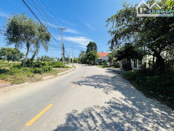 BÁN 163M2 ĐẤT THỔ CƯ MẶT TIỀN ĐƯỜNG CÂY THÔNG TRONG GIÁ 3,7 TỶ - 1
