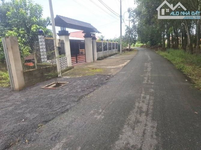 Bán đất mặt tiền đường Góc Rưng xã An Nhơn Tây Củ Chi TPHCM, DT: 16x67m. - 1