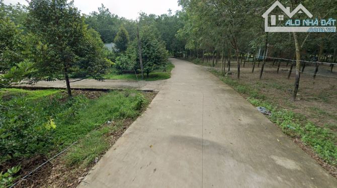 Cần Bán Lô Đất Gần Trường THCS, KCN An Linh 1000ha, 206.6m2 - 470 Triệu - 1