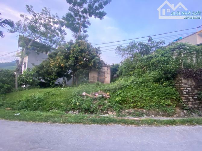 đất vườn S=1600m2, Lam Cốt, Tân Yên, Bắc giang, 360TC, ô tô vào đất, 2,75 tỷ - 1