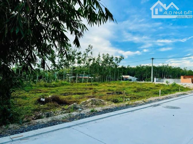 Bán đất mặt tiền Bê tông đẹp xã Phú Mỹ Hưng Củ Chi TPHCM, DT: 6x25m. - 1