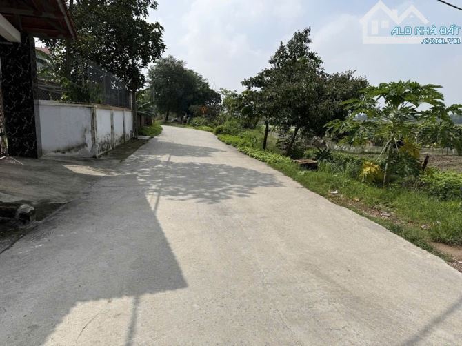 BÁN ĐẤT THUẬN THÀNH, BẮC NINH. 75M2 * MT 4,3M * 1,85 TỶ. Ô TÔ THÔNG, VÀO ĐÂT. - 1