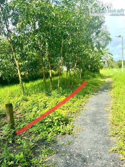 Cần chuyển nhượng lại 2 nền đất liền kề như hình– đất Cách Trường Đại học T - 1