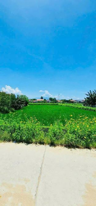 Bán Nhanh 901M Ngang 18m Ninh Quang Ninh Hòa  Giá Đầu Tư - 1
