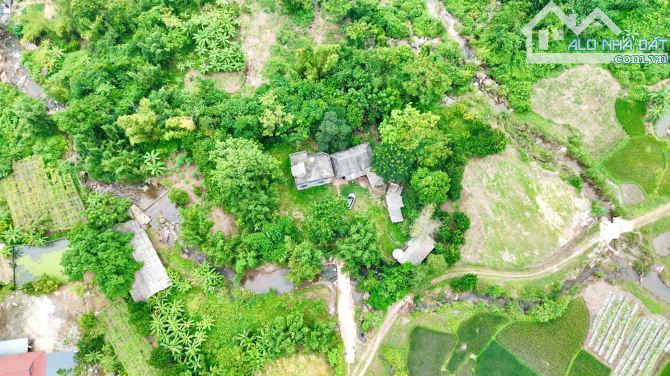 2087m Có 400m Đất ở - Bám Suối Cực Đẹp 50m - Đẹp Như Một Ốc Đảo - 1