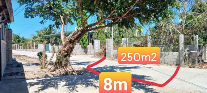 Bán 250m2 đất mặt đường bê tông lớn khu phố Long Sơn Mũi Né - 1