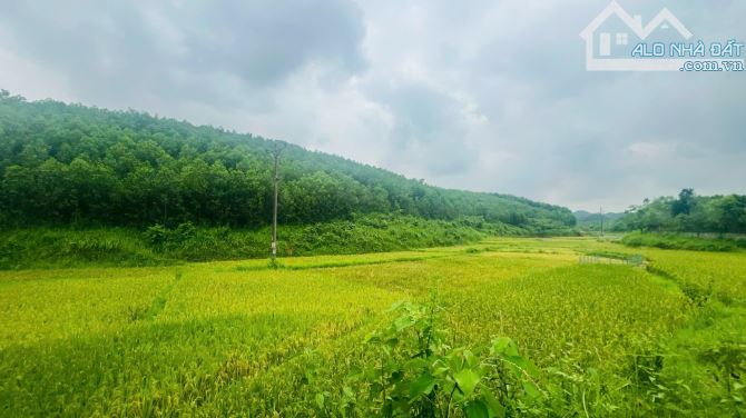 2878m Có 400m Đất Ở - View Cánh Đồng Đẹp - Gần Serena RESOFT - 1