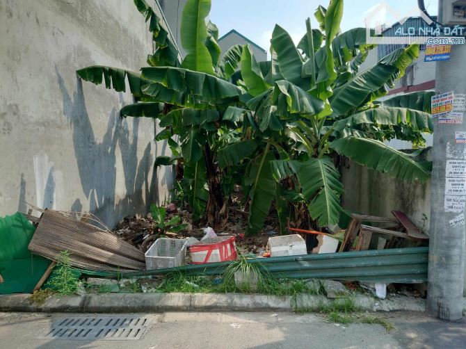 🔥Bán đất mặt tiền 5m Đại Mạch, Thiên Lộc giá đầu tư - 1