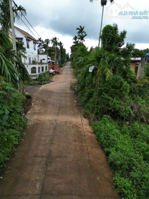 ĐẤT MT 15A HÒA THUẬN - PHƯỜNG TÂN AN  - ĐAKLAK 1,3Tỷ - 1