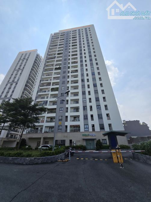 Bán gấp căn hộ chung cư Hoà Bình - IRIS TOWER, TP. Thuận An, Bình Dương - TP. HCM - 14