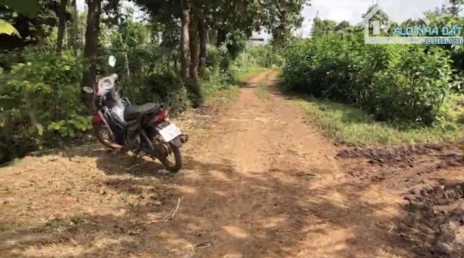 Bán lô đất đường xe hơi Quốc Lộ 14, xã Bình Thuận, TX Buôn Hồ, Đắk Lắk - 16