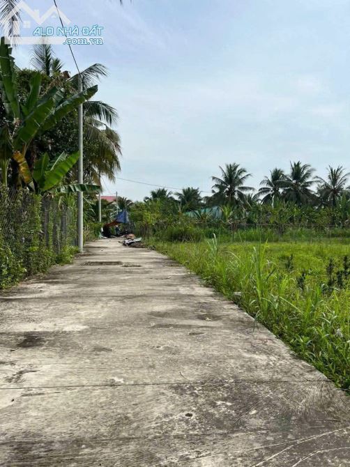 📌 BÁN ĐẤT CHÍNH CHỦ – GIÁ TỐT