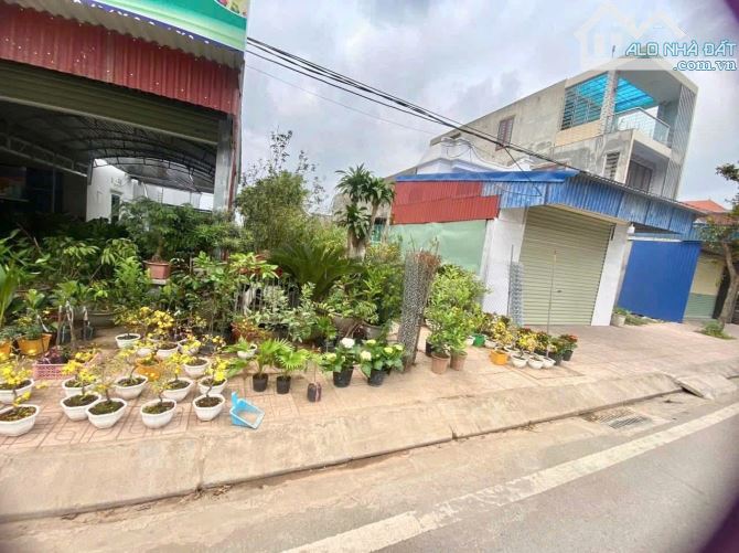 Bán đất Đại Đồng - Kiến Thụy - Hải Phòng - 2