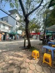 MẶT PHỐ NGUYỄN ĐẠO AN – KINH DOANH, LÔ GÓC, ÔTÔ TRÁNH – 65M – 14.5 TỶ (ĐTL1215108) - 2