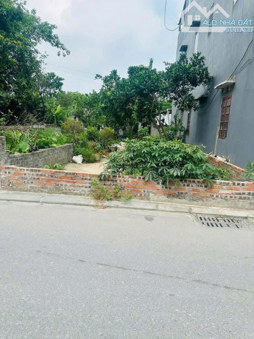 Bán mảnh đất vuông đẹp giá rẻ vô đối 👉 thư phú -thường tín - 2