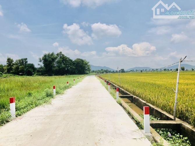 Như bước ra từ CỔ TÍCh Viêw lúa bao la đẹp lắm-dt:250m2- ngang 6mx45m-80 thổ cư-giá 9xx - 2