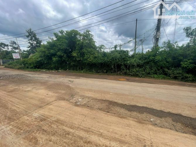 ĐẤT MẶT TIỀN VÀNH ĐAI 14-26 – ĐOẠN ĐẦU BUÔN KOTAM GẦN QUỐC LỘ 26 PHƯỜNG TÂN AN ĐẮK LẮK - 2