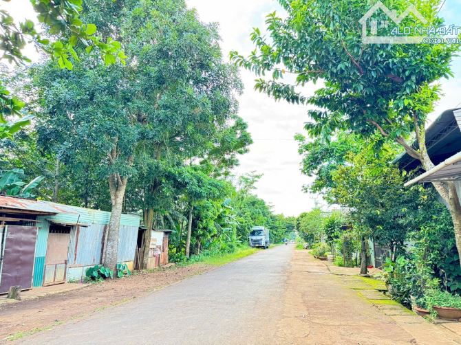 BÁN ĐẤT HẺM ĐƯỜNG THẾ LỮ – TÂN HÒA – VỊ TRÍ TIỀM NĂNG - 2