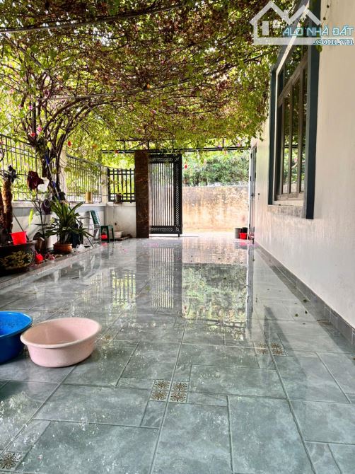 Bán đất tặng dàn Hoa Giấy , sân , kho cực đẹp Tại Quảng Châu SAM SON - 2