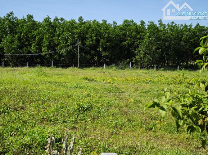 📍 Đất Phường LaGi, đường 5m, 5x32 tổng 177m² full thổ cư, giá rẻ bất ngờ chỉ 650triệu - 2