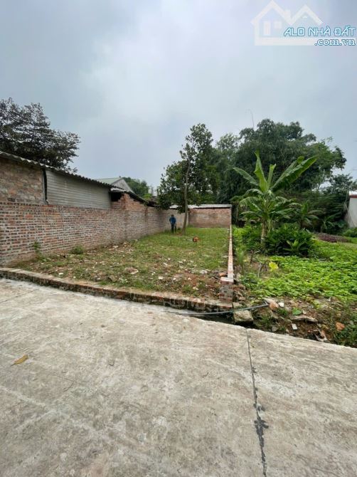 🔥 ĐẤT ĐẸP – VỊ TRÍ VÀNG GIỮA LÒNG HƯỚNG ĐẠO – TAM DƯƠNG 🔥  🏡 Lô đất cực hiếm tại thôn G - 2