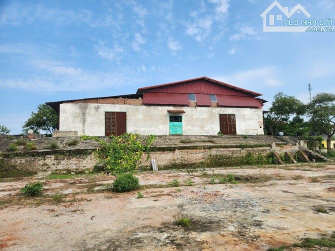 CHÍNH CHỦ CẦN CHUYỂN NHƯỢNG CÔNG TY NÔNG SẢN ĐANG HOẠT ĐỘNG TẠI YÊN BÁI - 2