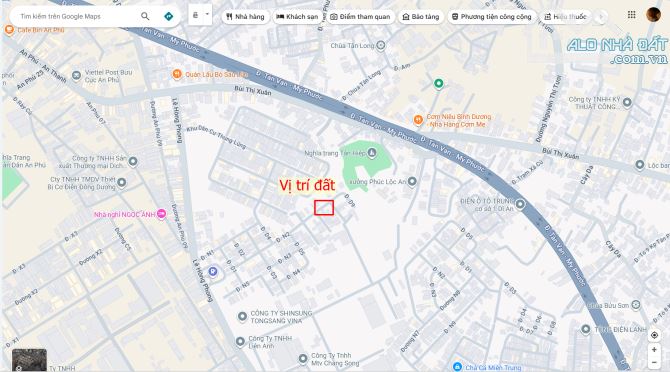 Bán đất 4.4x16m, đường N2 KDC Lê Phong Tân Bình p.Tân Bình - 2