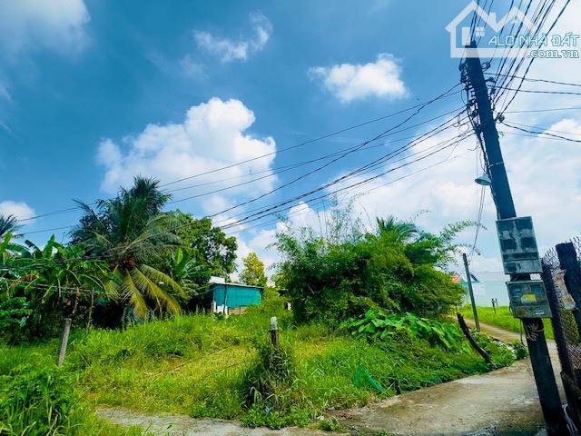 ✅Cần bán 852m2 ( 14* 62 ) FULL THỔ hẻm 95 Hoàng Anh, Tân Khánh, Long An - 2