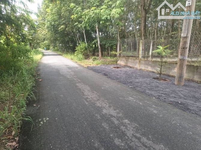 Bán đất mặt tiền đường Góc Rưng xã An Nhơn Tây Củ Chi TPHCM, DT: 16x67m. - 2